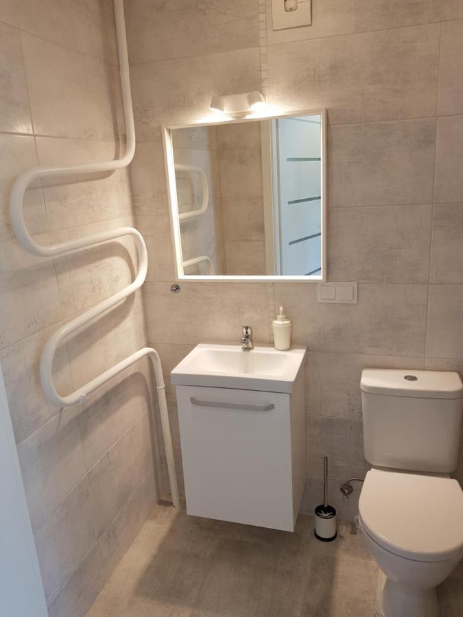 Anyksciai Cozy Studio מראה חיצוני תמונה