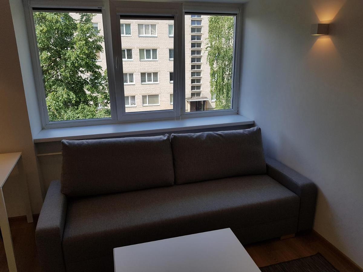 Anyksciai Cozy Studio מראה חיצוני תמונה