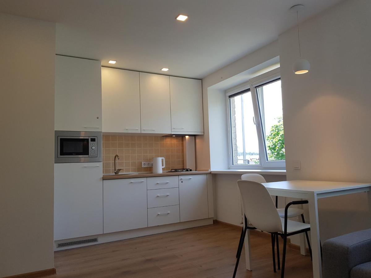 Anyksciai Cozy Studio מראה חיצוני תמונה
